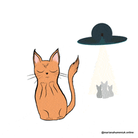 Red Cat Aliens GIF