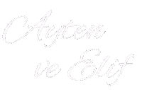 Zeynep Ayaz Sticker