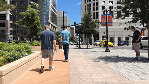 pokemon go GIF
