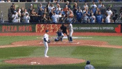 Blue Jays Win GIF by Toronto Blue Jays