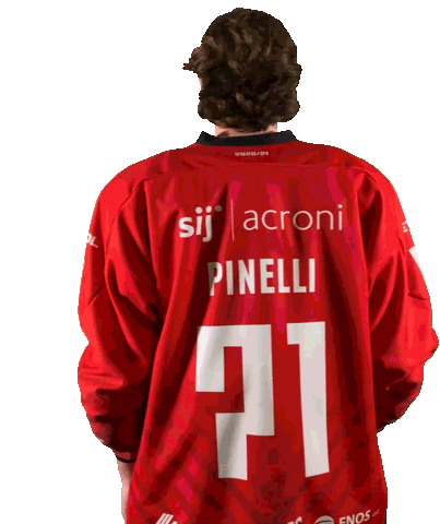 Hockey Yes Sticker by HDD SIJ Acroni Jesenice