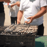 Party Camping GIF by TRT