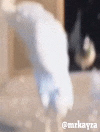 Hayırlı Cumalar GIF