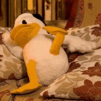 SanPitoPato donald duck pato pato donald san pito pato GIF
