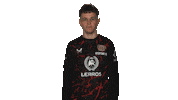 Bayer Leverkusen Soccer Sticker by Bundesliga