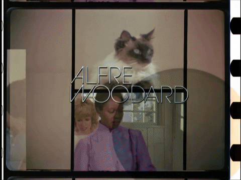 petergunnedea giphyupload GIF