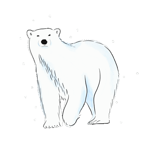 charliesillustrations giphyupload winter bear polarbear Sticker