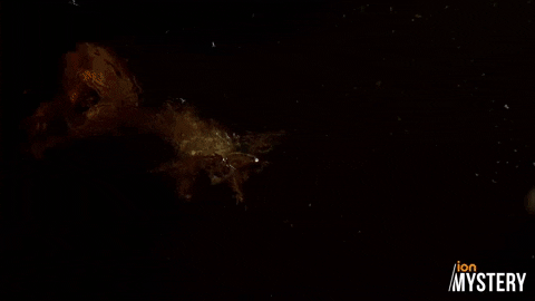 New York Drama GIF by ION Mystery