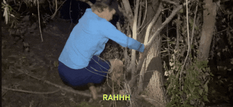Jump GIF
