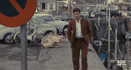 France GIF by TIFF
