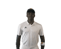 Celebrate South Africa Sticker by Red Bull