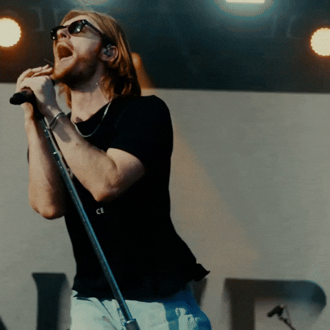 Lollapalooza Finneas GIF by Respective