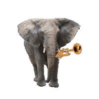 Confetti Elephant Sticker by O2 Slovakia