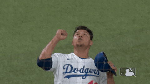 Excited Major League Baseball GIF by MLB