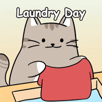 Washing Machine Circular Motion GIF by MESA My Emotional Support Animal