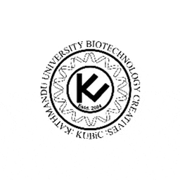 kubicclub giphygifmaker kubic kubic logo GIF