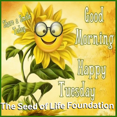 Happy Flower GIF by The Seed of Life Foundation