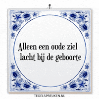 Humor Nl GIF by Tegelspreuken.nl
