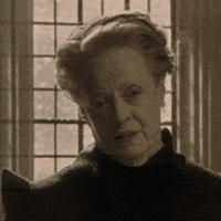 Warner Bros Domination GIF by Harry Potter