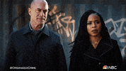 Season 2 Nbc GIF by Law & Order