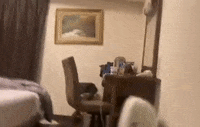 Japan Earthquake GIF by GIPHY News