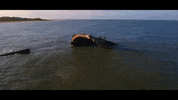 new jersey GIF