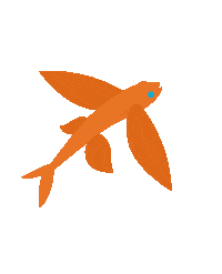 Fish Noarcm Sticker by Coquetel Molotov