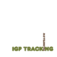 Igp Sticker by Trackfellow