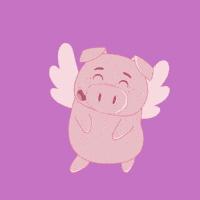Excited Flying Pig GIF by PositivelyPigasus