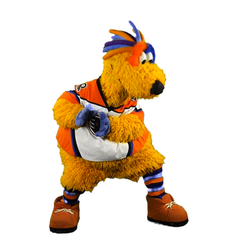 Ice Hockey Sticker by Lehigh Valley Phantoms