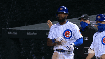 Regular Season Sport GIF by MLB