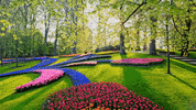 GIF by Keukenhof