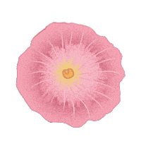 flower Sticker by Spell & The Gypsy Collective