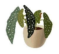 Plants Jungle Sticker