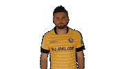 Bundesliga Celebrate Sticker by SG Dynamo Dresden