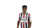Tricolores Kingside Sticker by Willem II