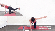 mobilitychick fitness baseball workout training GIF