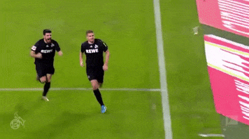 sliding milos jojic GIF by 1. FC Köln