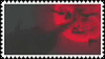 racccoonlvr  GIF
