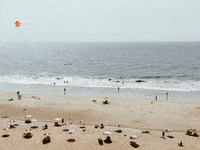 Blog Allgemeine Geschaftsbedingungen GIF by FranchiseONE.de