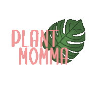 Plants Monstera Sticker