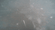 Water Hello GIF by Interlaken