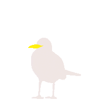 Polankou attack marseille seagull rustinesanté Sticker