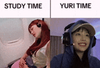 Gay Lgbt GIF