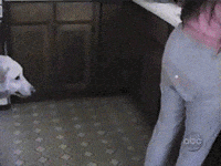 Dog Nip GIF
