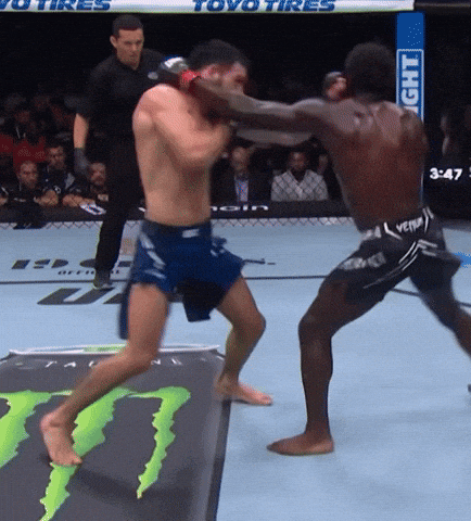 Fight Ufc GIF by promaslist