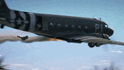Battle Royale Battlepass GIF by Call of Duty