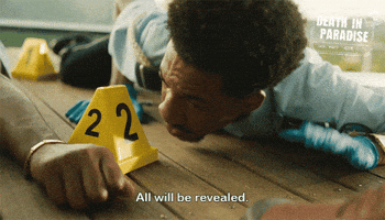 Working On It Mystery GIF by Death In Paradise