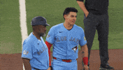Blue Jays Baseball GIF by Toronto Blue Jays