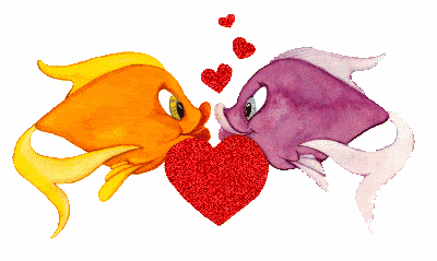 fish GIF